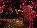 Toledo Zoo Lights 2008 039